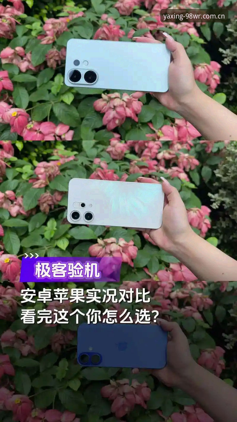安卓vs苹果版：亚星体育平台哪个更值得用？我的实测对比